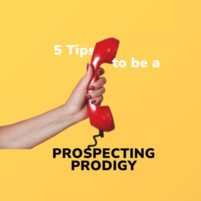 tips-prospecting-prodigy